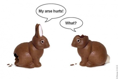 Funny Easter Bunny